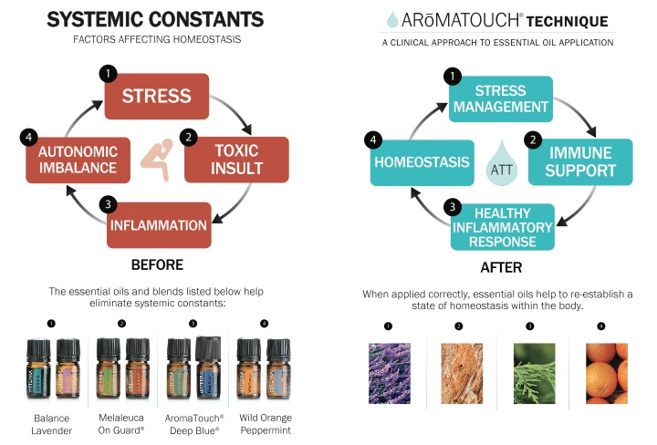 before-after-aromatouch